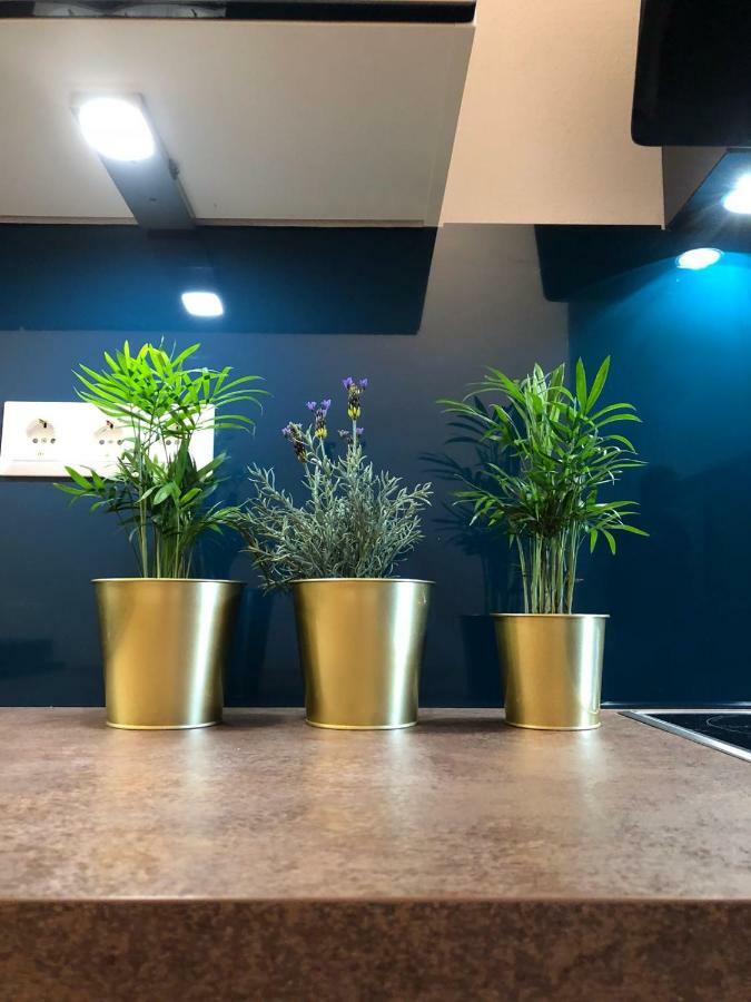Back To School Apartment Andernach Ngoại thất bức ảnh
